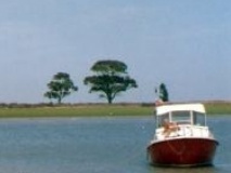 El Olivo de la Trinidad <a href='http://200.58.115.128/~x071vm02/documents/boletines/35.pdf' id='linkFuera' target='_blank'>Click Acá</a>