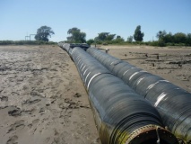 Manguerotes Isla Bermejo