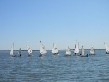 Optimists y Lasers - Octubre 2012